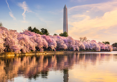 Washington Medical Recruiters Washington Medical Recruiters