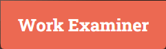 Work examiner logo