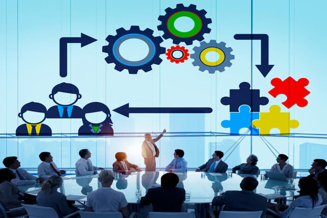 Organizational Life Cycle: Definition, Models, and Stages